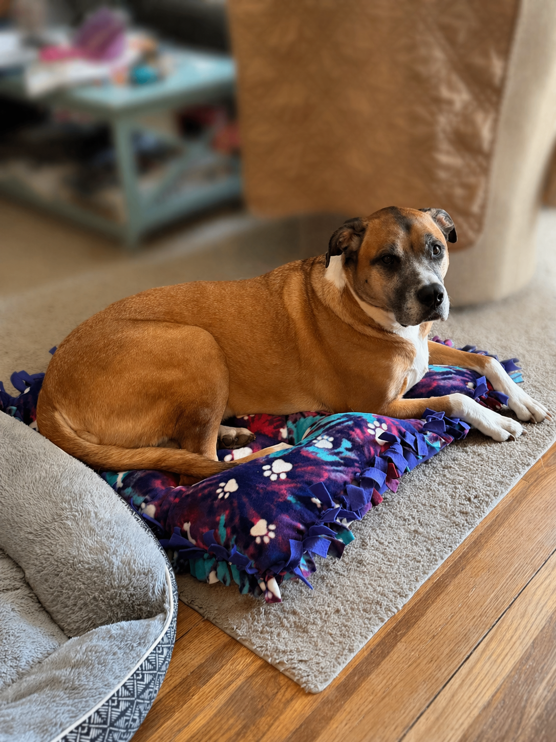 Fleece Tie Dog Pillow – 30x30 With double knot fringe